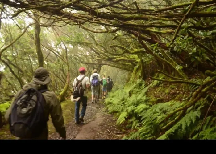 Apartman Anaga Playa Benijo 1 Paraiso Rural Trail-beach Santa Cruz de Tenerife